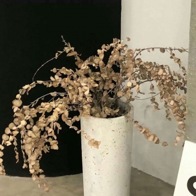 裕安FurryQQ群介绍